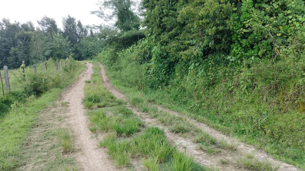 2 Acre channels water attached agri  Land for Sale – Belur (Towards Alur)